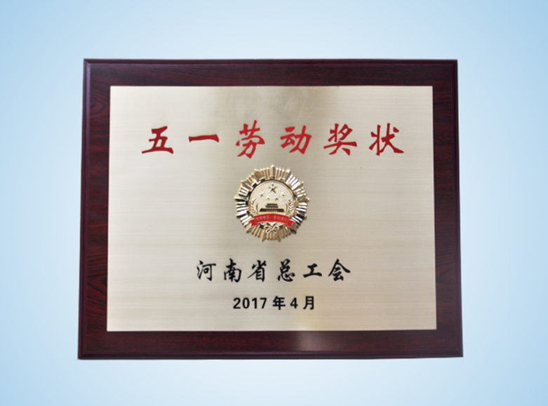 2017年河南省五一勞動獎狀